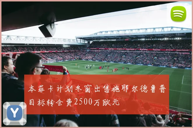 本菲卡计划冬窗出售施耶尔德鲁普目标转会费2500万欧元
